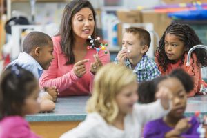 Stem Teacher